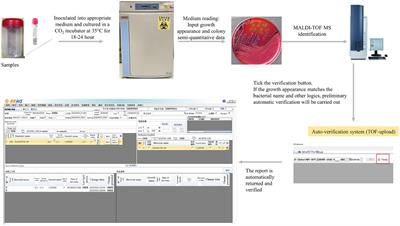 Benefit analysis of the auto-verification system of intelligent inspection for microorganisms